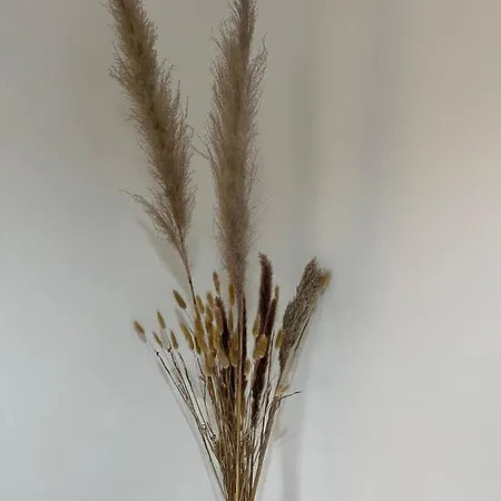 מלון דירות Castramajora Alloggi